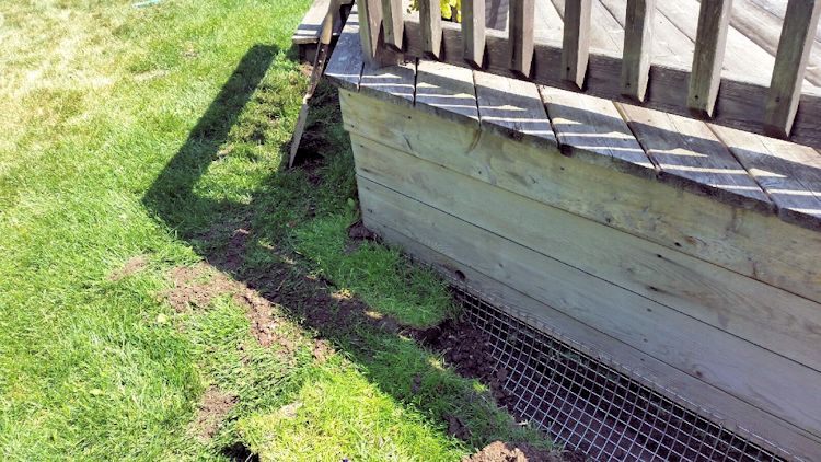 Skunk Removal Niagara Falls : EMBO Pest Control